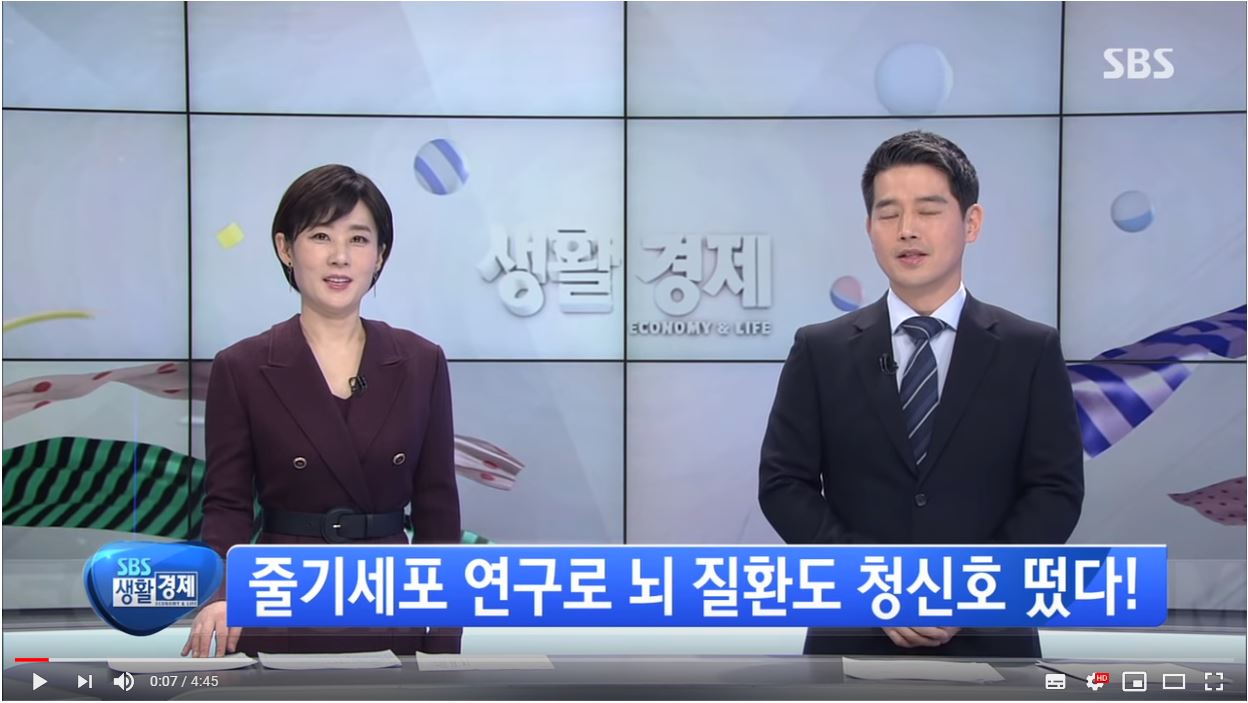 SBS 생활경제 - 줄기세포 연구로 뇌 질환도 청신호 떴다