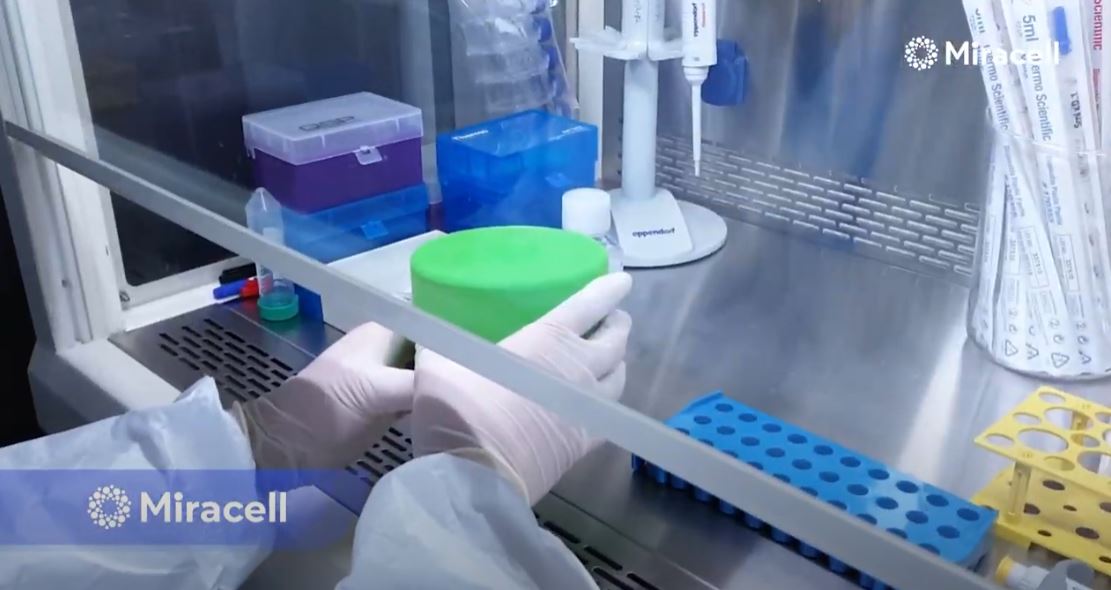 [줄기세포 TV] 미라셀 셀뱅킹 이렇게 진행됩니다