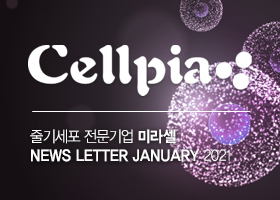 Miracell NewsLetter JANUARY 2021