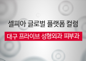 [셀피아 글로벌 플랫폼 컬럼] 대구 프라이브 성형외과 피부과