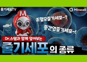 [닥터스템] 줄기세포를 알아봅시다 (feat. 조혈모줄기세포, 중간엽줄기세포)