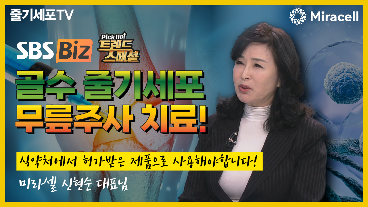 [SBS 트렌드 스페셜]무릎 관절염, 줄기세포 주사 치료의 핵심은?