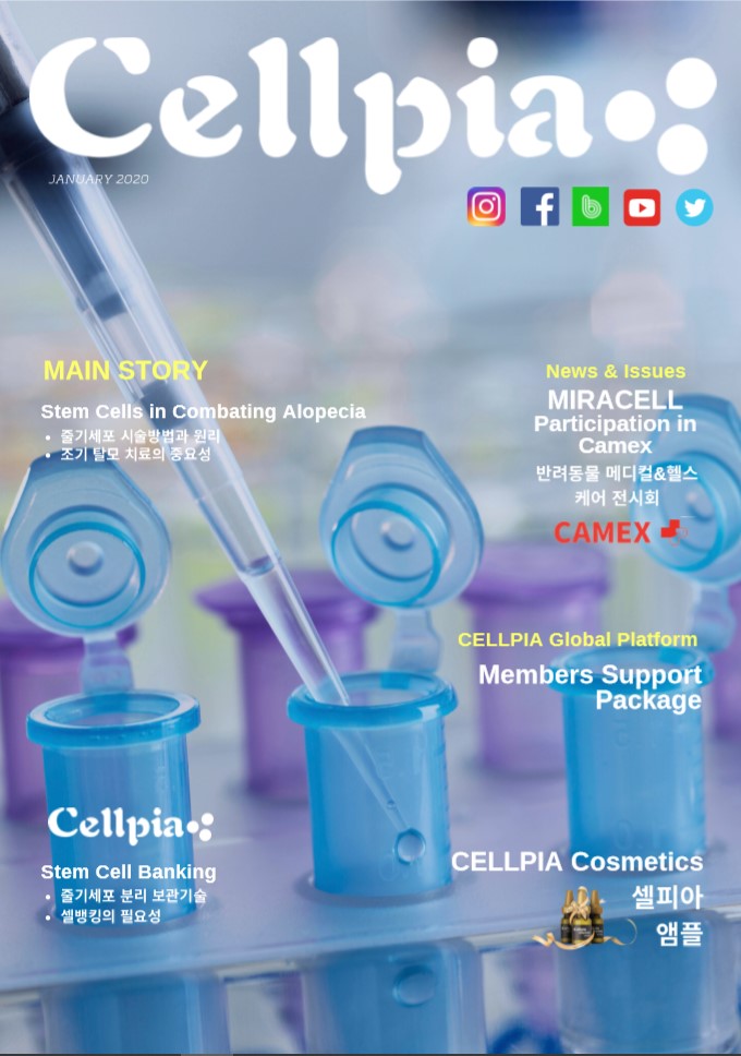 KR January Newsletter 2020.jpg