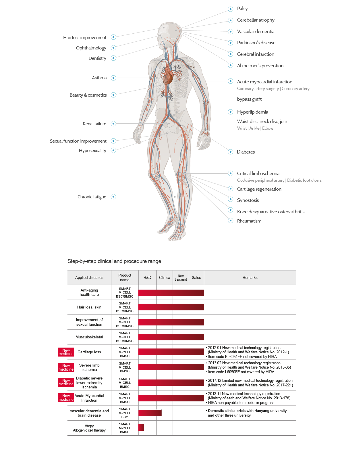 Miracell | Stem Cell Therapy System | Mesenchymal Stem Cell of Miracell