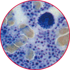 퀄리티 보장 이미지