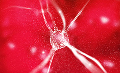 농축 기술력 이미지