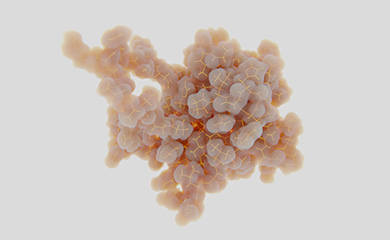 성장인자 이미지